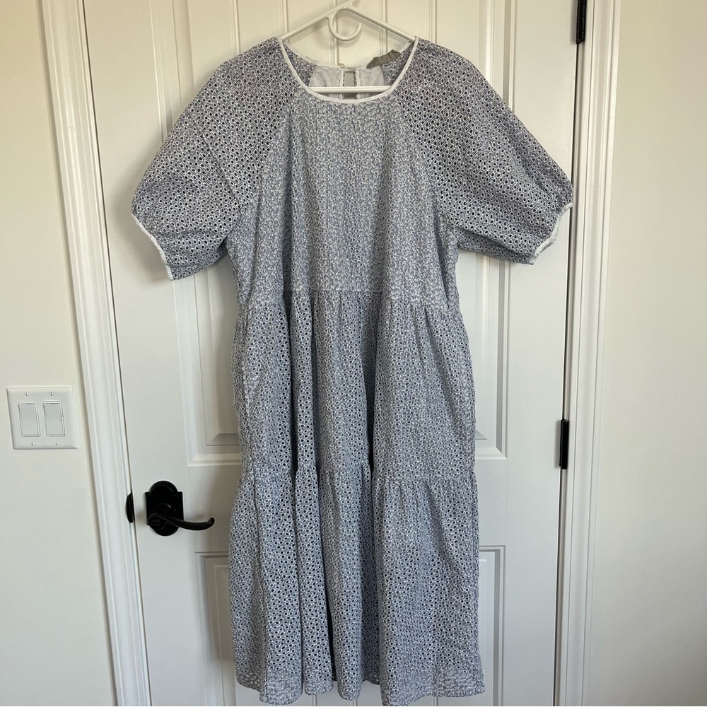 Everlane Blue and White Midi Dress